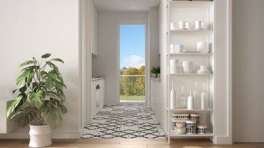 Küçük mutfak, parke zemin, saksı bitki, dekorlar, renkli fayans ve dekorlar ile raf sistemi ile modern beyaz minimalist oturma odası, mimari iç tasarım konsept fikri