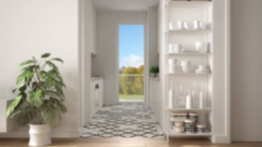 Bulanıklık arka plan iç tasarım, mutfak ile minimalist oturma odası, parke zemin, saksı bitki, dekorlar ile raf sistemi, renkli fayans, mimari iç tasarım konsepti