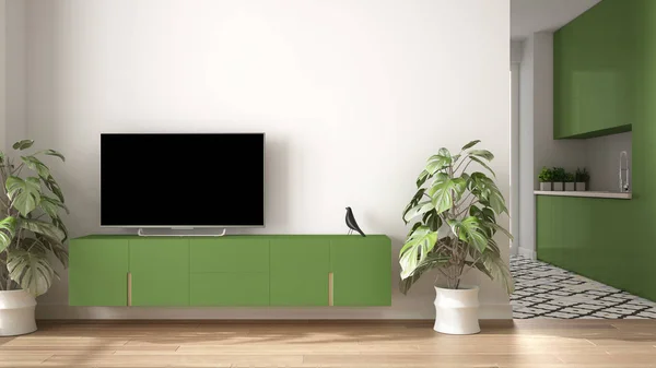Moderne groen gekleurde minimalistische woonkamer met kleine keuken, parketvloer, TV-kast, potplant. Scandinavische gekleurde tegels en decors, architectuur interieur design concept — Stockfoto