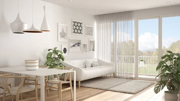 Yemek masası, kanepe ve kürk halı ile sıcak ve confortable İskandinav beyaz oturma odası, parke zemin ile minimal odada saksı bitki, çağdaş mimari iç tasarım