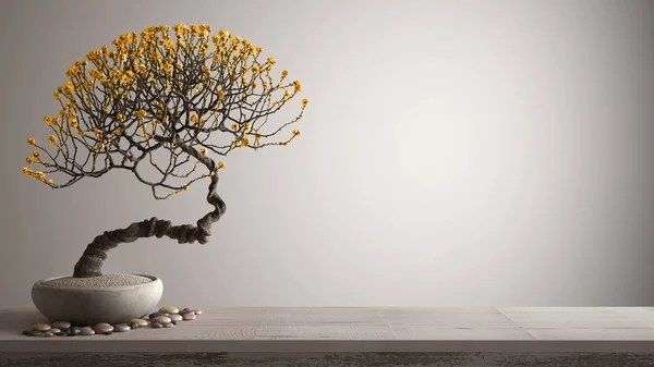 Vintage drewniana półka stołowa z żwirowym i doniczkowa kwitnąć bonsai, żółte kwiaty, białe tło z kopią przestrzeni, koncepcja Zen wnętrz — Zdjęcie stockowe