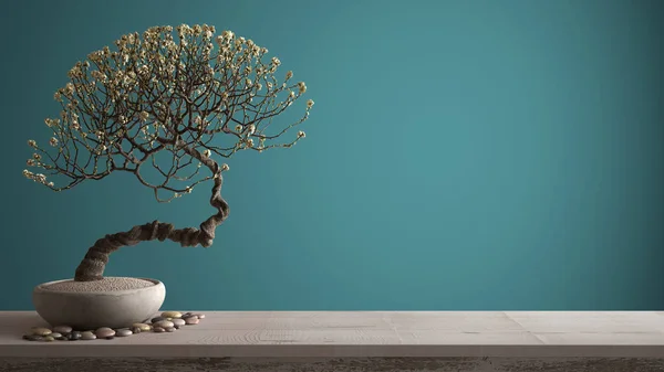 Vintage drewniany półka stołowa z żwirowym i doniczkowa kwitnąć bonsai, białe kwiaty, Ciano kolorowe tło z kopią przestrzeni, Zen koncepcji wystroju wnętrz — Zdjęcie stockowe
