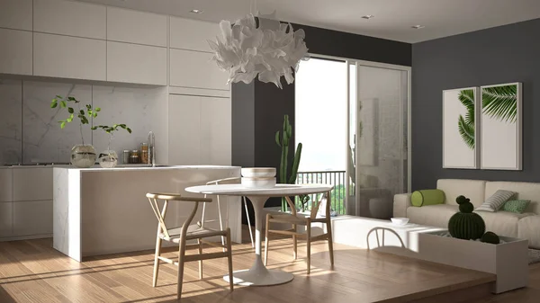 Еко-зелений дизайн інтер'єру, біло-сіра вітальня з диваном, кухня з обіднім столом, соковиті горшкові рослини, паркетна підлога, вікно, панорамний балкон. Стала архітектура — стокове фото
