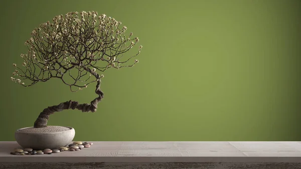 Vintage drewniana półka stołowa z żwirowym i doniczkowa kwitnąć bonsai, białe kwiaty, zielone kolorowe tło z kopią przestrzeni, Zen koncepcji wystroju wnętrz — Zdjęcie stockowe