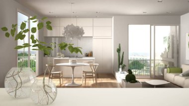 Hidroponik bitki ile cam vazo ile beyaz masa üstü veya raf, süs, su bitki kökü, vazo dala, ev bitkisi, modern bulanık oturma odası arka plan, iç tasarım