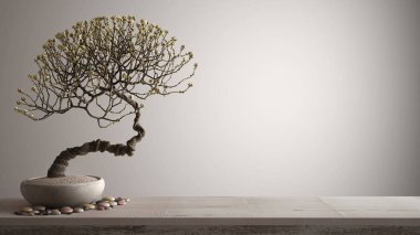 Çakıl ve saksı çiçek bonsai, beyaz çiçekler, fotokopi alanı ile beyaz arka plan, zen kavramı iç tasarım ile Vintage ahşap masa raf