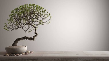 Çakıl ve saksı çiçek bonsai, yeşil çiçekler, fotokopi alanı ile beyaz arka plan, zen kavramı iç tasarım ile Vintage ahşap masa raf