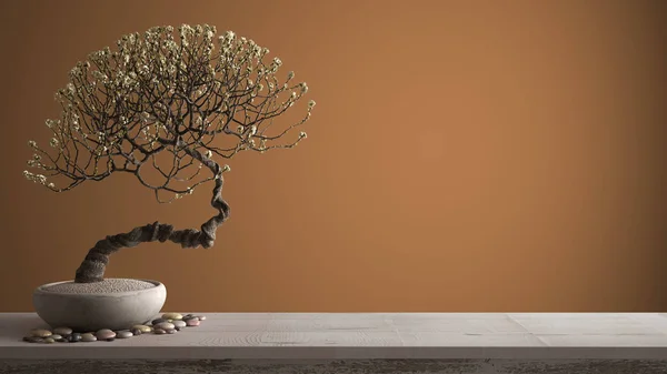 Zabytkowe drewniane półki stołowe z Pebble i doniczkowe kwitnąć bonsai, białe kwiaty, pomarańczowe kolorowe tło z kopią przestrzeni, Zen koncepcji wystroju wnętrz — Zdjęcie stockowe