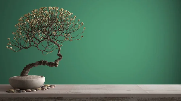 Vintage drewniana półka stołowa z żwirowym i doniczkowa kwitnąć bonsai, białe kwiaty, turkusowe kolorowe tło z kopią przestrzeni, Zen koncepcji wystroju wnętrz — Zdjęcie stockowe