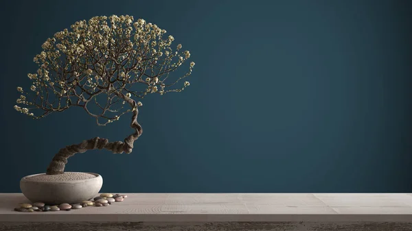 Vintage drewniana półka stołowa z żwirowym i doniczkowa kwitnąć bonsai, białe kwiaty, niebieskie kolorowe tło z kopią przestrzeni, Zen koncepcji wystroju wnętrz — Zdjęcie stockowe