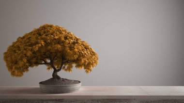 Çakıl ve saksı çiçek bonsai, sarı yapraklar, çiçekler, kopyalama alanı ile beyaz arka plan, zen kavramı iç tasarım ile Vintage ahşap masa raf