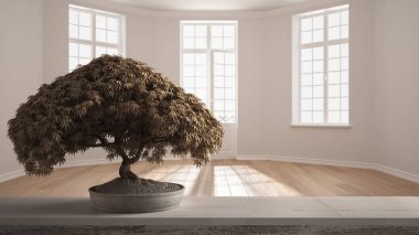 Saksı çiçek bonsai ile Vintage ahşap masa raf, bej yaprakları, çiçekler, panoramik pencereler ile boş oda üzerinde, modern iç tasarım, zen temiz mimari konsept fikri