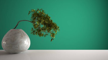 Yuvarlak mermer vazo ve saksı bonsai, yeşil yapraklar, kopyalama alanı ile turkuaz renkli arka plan, zen konsept iç ile beyaz paspas masa raf