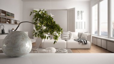 Yuvarlak mermer vazo ve saksı bonsai, yeşil yapraklı, kanepe ve halı ile oturma odası üzerinde beyaz paspas masa raf, modern iç tasarım, zen temiz mimari konsept fikir