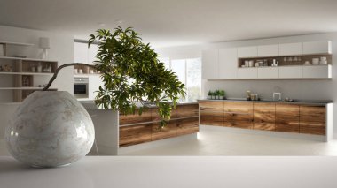 Yuvarlak mermer vazo ve saksı bonsai, yeşil yaprakları, ada ile minimalist mutfak üzerinde beyaz paspas masa raf, modern iç tasarım, zen temiz mimari konsept fikir