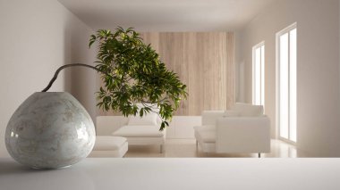 Yuvarlak mermer vazo ve saksı bonsai ile beyaz mat masa raf, yeşil yaprakları, kanepe ve koltuklar ile oturma odası üzerinde, modern iç tasarım, zen temiz mimari konsept fikir