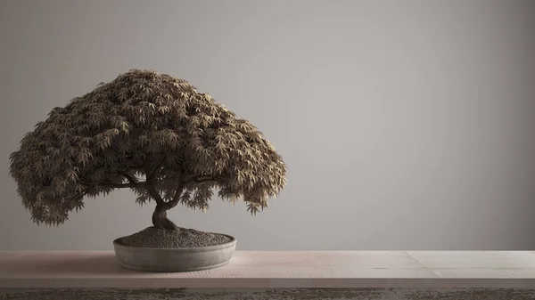 Vintage drewniana półka stołowa z żwirowym i doniczkowa kwitnąć bonsai, białe liście, kwiaty, białe tło z kopią przestrzeni, Zen koncepcji wystroju wnętrz — Zdjęcie stockowe