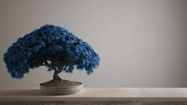Vieille étagère de table en bois avec galets et fleurs en pot bonsaï, feuilles bleues, fleurs, fond blanc avec espace de copie, design d'intérieur zen concept — Photo