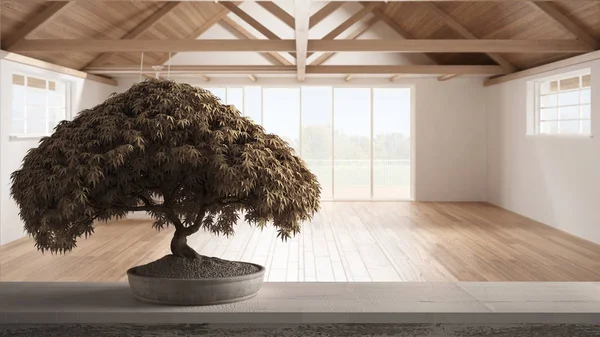 Vintage étagère de table en bois avec fleurs en pot bonsaï, feuilles beige, fleurs, sur la chambre vide avec fenêtres panoramiques, design d'intérieur moderne, idée concept d'architecture zen propre — Photo