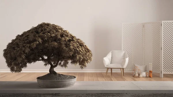 Étagère de table en bois vintage avec fleurs en pot bonsaï, feuilles beiges, fleurs, sur le salon contemporain avec fauteuil, design d'intérieur moderne, idée de concept d'architecture zen propre — Photo