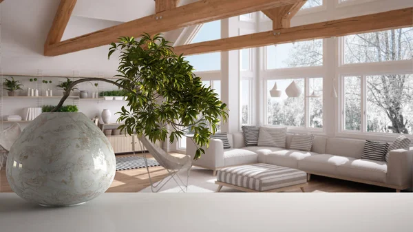 Biała Mata stołowa z okrągłym marmurowym wazonem i doniczkowe bonsai, zielone liście, nad pokojem dziennym z kanapą i fotelem, nowoczesny wystrój wnętrz, Zen czystej architektury koncepcji idei — Zdjęcie stockowe
