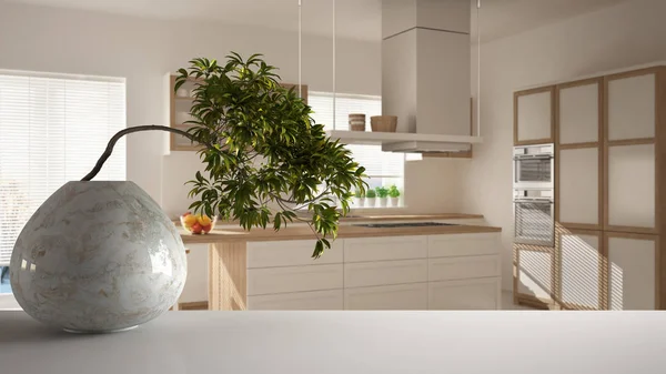 Yuvarlak mermer vazo ve saksı bonsai, yeşil yaprakları, ada ile minimalist mutfak üzerinde beyaz paspas masa raf, modern iç tasarım, zen temiz mimari konsept fikir — Stok fotoğraf