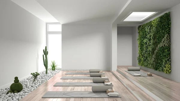 Empty yoga studio interior design, open space with mats, pillows and accessories, parquet, vertical garden and succulent plants with pebbles, ready for yoga practice, meditation room