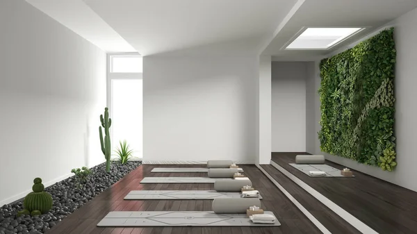 Empty yoga studio interior design, open space with mats, pillows and accessories, parquet, vertical garden and succulent plants with pebbles, ready for yoga practice, meditation room