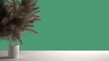 Beyaz masa üstünde ya da rafta pipetli vazo, kuru bitkiler, süs, kulaklar, ot, durgun hayat, çarşaf, vazo dalı, ev bitkisi, turkuaz arka plan, modern iç tasarım