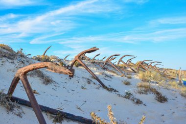 Eski çapa mezarlık Barril plajda Portekiz