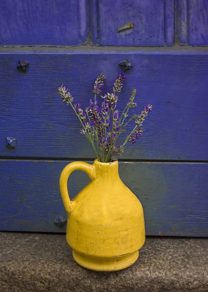 Lavanda Kouvinum Giallo Uno Sfondo Viola Porta Squallida Foto Stock Royalty Free