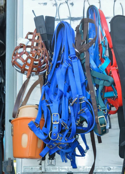 Satılık at binme ekipmanları. yular ekipman