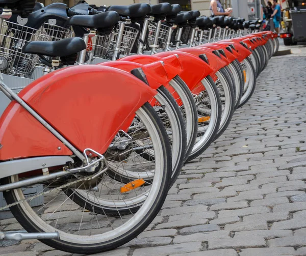 Row of bicycles for rent. Bicycle sharing station.
