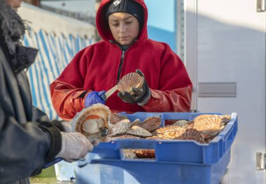 DIEPPE, FRANCE - NOVEMBER 17, 2018: Women open and clean scallops for sale at the Fair of Herring and scallop shell. clipart