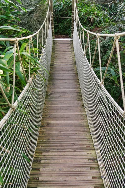 Suspended wooden bridge in the tropical forest — Stock Photo, Image