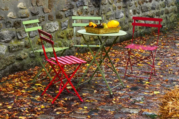 Jardim com mesa e cadeiras decoradas com flores do outono, abóboras — Fotografia de Stock