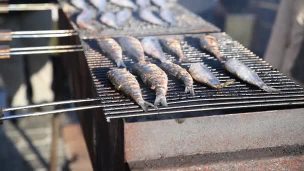 Hering egy grillen a piacon — Stock videók