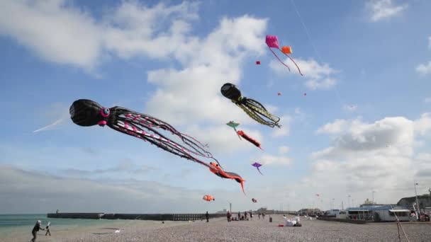 Dieppe França Setembro 2018 Kite Festival Pipas Polvo Céu Oceano — Vídeo de Stock