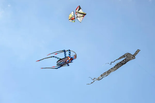Uçurtma festivali. Atlantik okyanusunda gökyüzünde uçurtmalar. — Stok fotoğraf