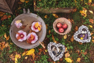 Kuru çiçekler ve yapraklar sonbaharda bahçede süzülür.