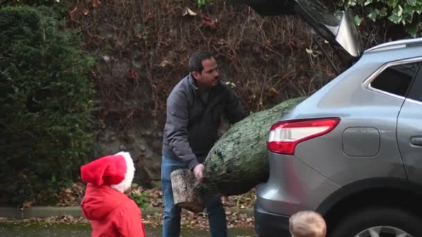 Pappa Köpte Julgran Och Bär Den Hemma — Stockvideo