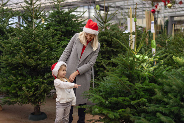 Mother and daughter choose a Christmas tree at a market.