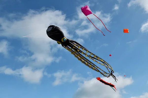 Uçurtma festivali. Atlantik okyanusunda gökyüzünde ahtapot uçurtmaları — Stok fotoğraf