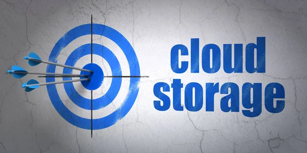 Safety concept: target and Cloud Storage on wall background — Stock Photo, Image