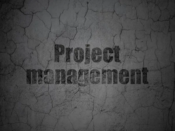 Podnikatelský koncept: projektové řízení na grunge stěna pozadí — Stock fotografie