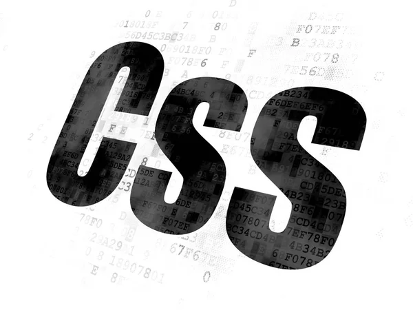 Programmering concept: Css op digitale achtergrond — Stockfoto