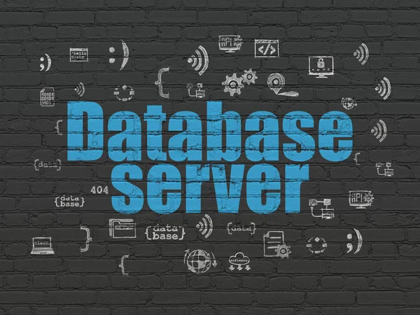 Programmeringsconcept: Database Server op wandachtergrond — Stockfoto