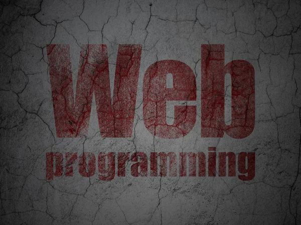 Conceito de Web design: Programação Web no fundo da parede grunge — Fotografia de Stock