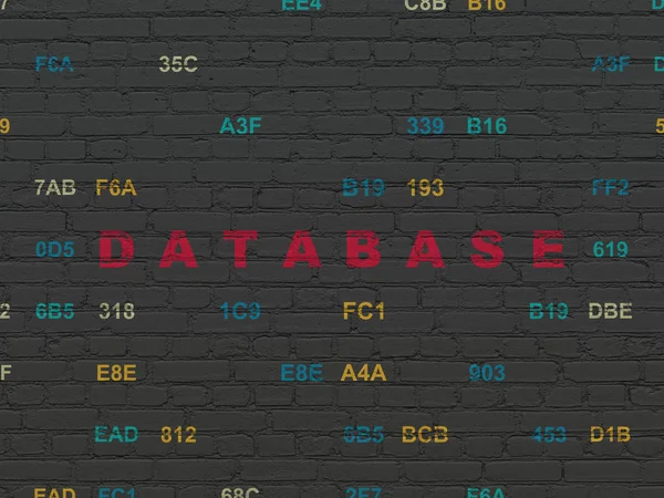 Konsep perangkat lunak: Basis data pada latar belakang dinding — Stok Foto