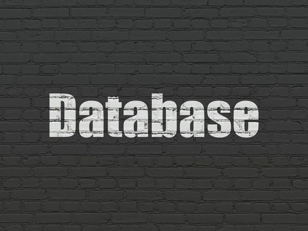 Programming concept: Database on wall background — Stock Photo, Image